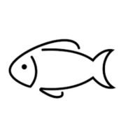 Fish And More